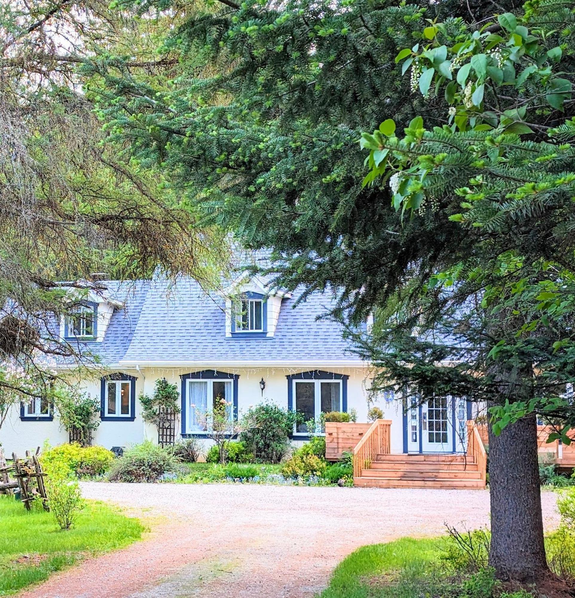 Bed and Breakfast La Tremblante Mont-Tremblant Zewnętrze zdjęcie